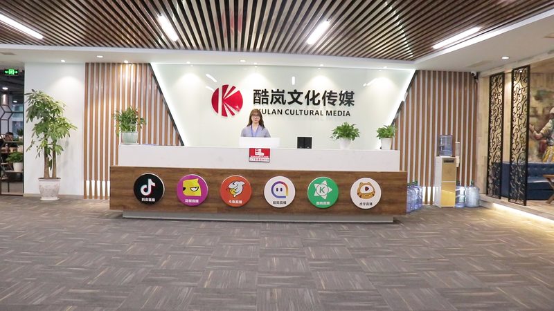 媒介投放案例拆解：揭秘成功背后的关键要素